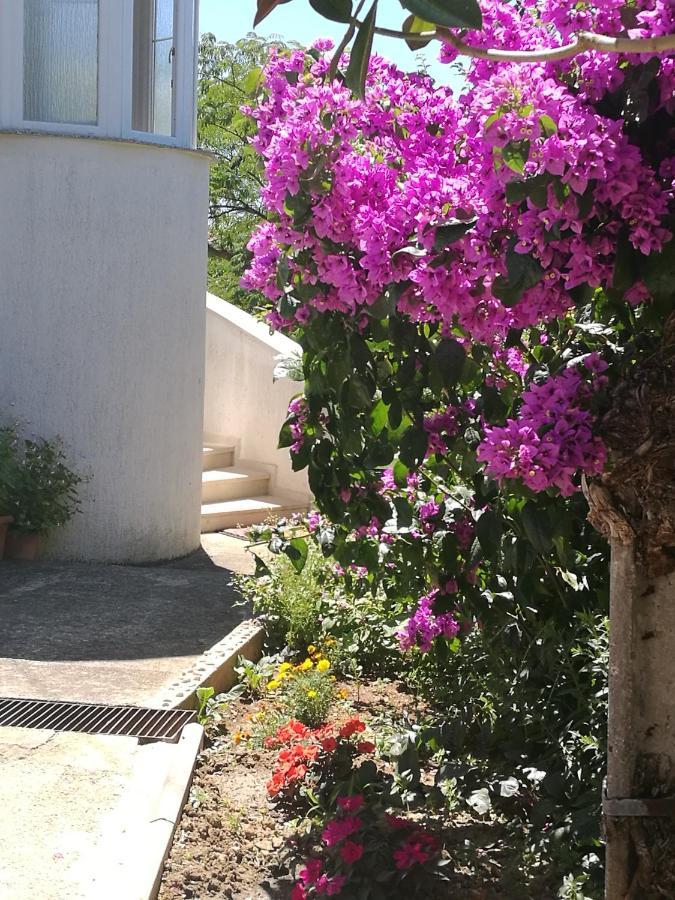 Apartments Amelie Ζαντάρ Εξωτερικό φωτογραφία